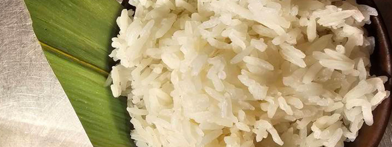 From the paddy field category header image